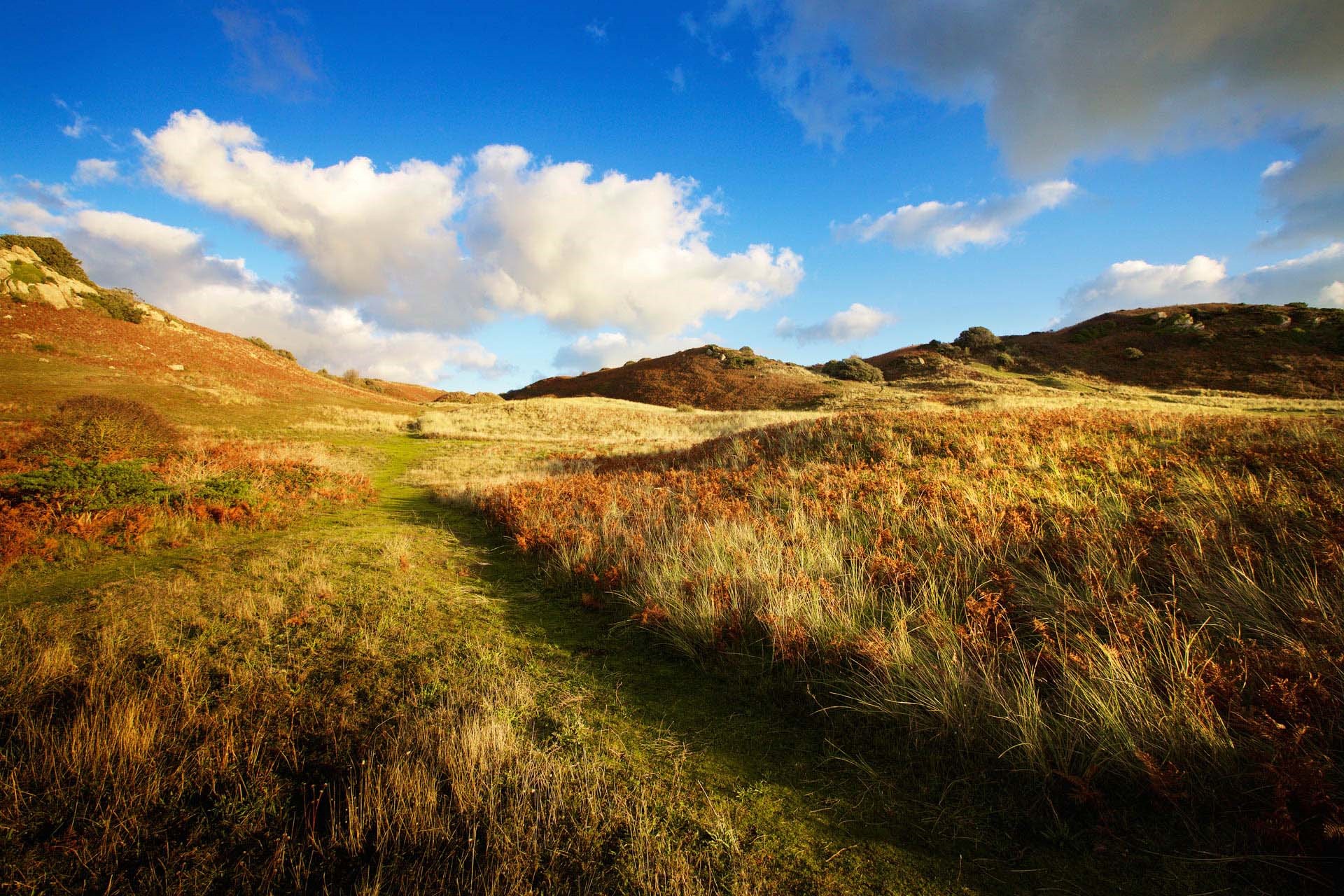 Autumn in the sand dunes