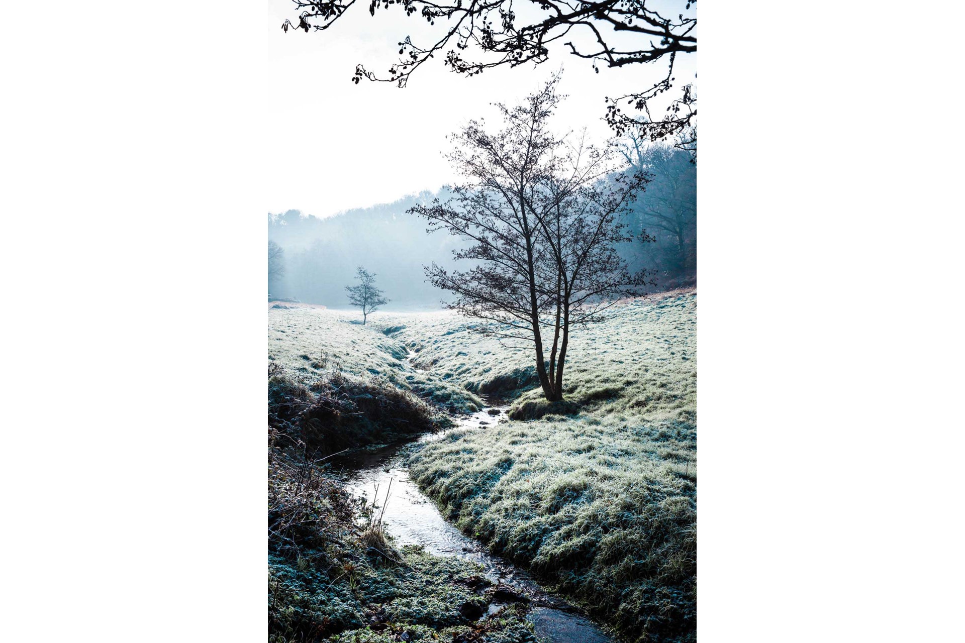 Stream at St Peter's Valley