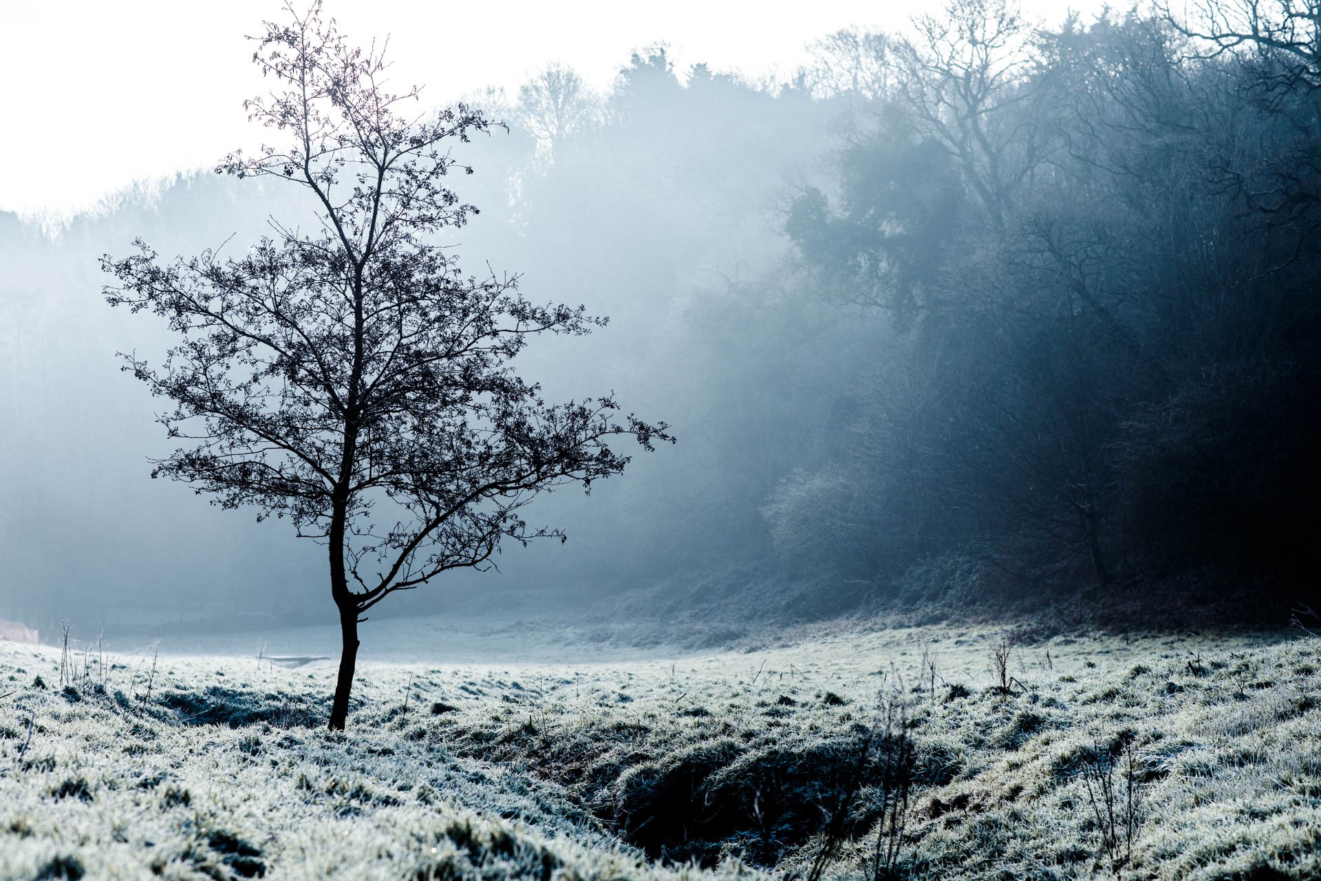 Frosty scene at St Peter's Valley
