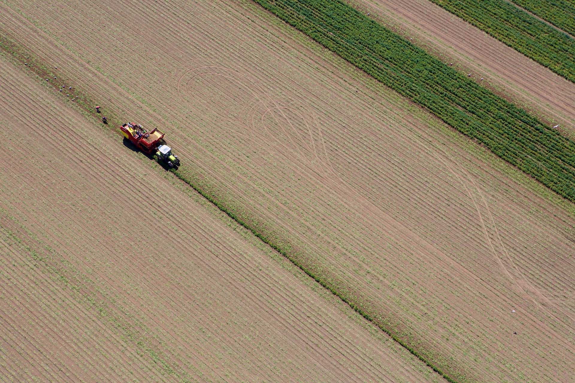 Aerial View of Farmers Ploughing Field, Jersey