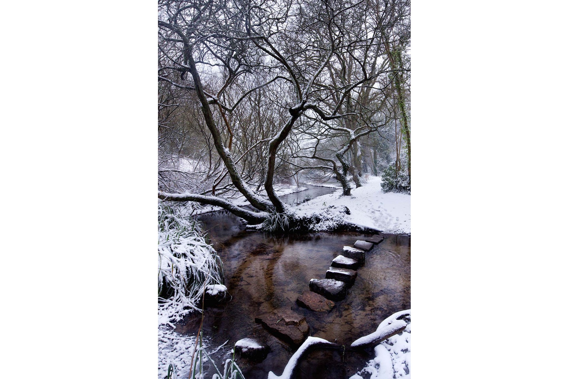 Stepping Stones to a winter wonderland at St Catherine's Woods