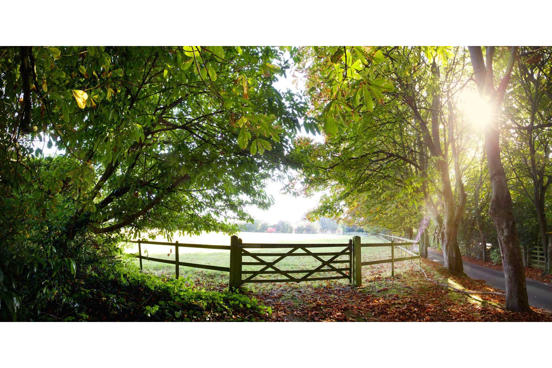Autumn light in the countryside